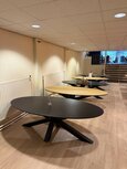 Langwerpige- en ovalen eetkamertafels | Met massief eikenhouten toplaag | Meeneemprijs 495,-