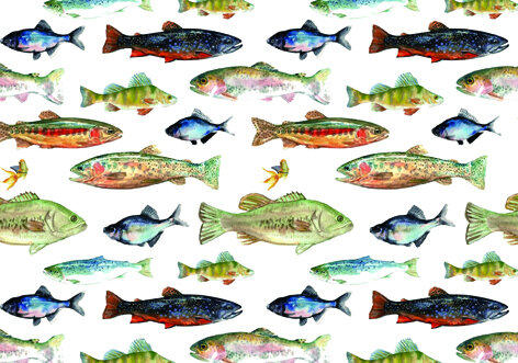 65/45 Small Fishes Green CUS379B Tuinkussen