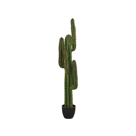 Berghuis  Cactus - Groen - Kunststof - 130