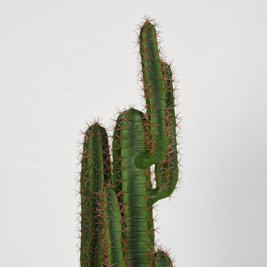 Berghuis  Cactus - Groen - Kunststof - 130