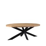 Eetkamertafel Zip - Rough - Mangohout - Ovaal - 240x110 cm Eetkamertafel Zip - Rough - Mangohout - Ovaal - 240x110 cm