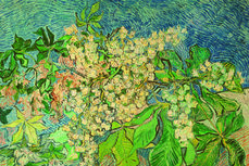 Chestnut blossom - v Gogh Chestnut blossom - v Gogh