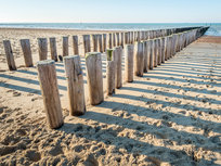 Two parallel rows wooden poles Two parallel rows wooden poles