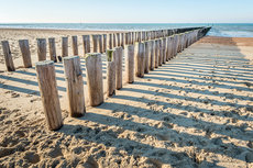 Two parallel rows wooden poles Two parallel rows wooden poles