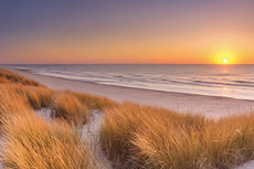 Tall dunes with dune grass Tall dunes with dune grass