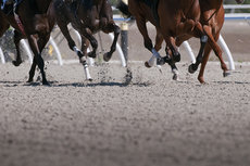 Exciting motion of race horses Exciting motion of race horses