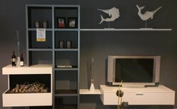 Wandopstelling met haard F210 Wandopstelling met haard F210